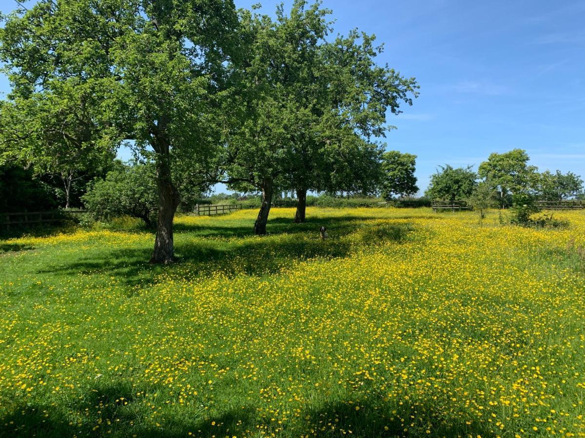 Beautiful Rural Apt, Walking Distance To Three Choirs Vineyard/Brassiere Gloucestershire Lägenhet Newent Exteriör bild